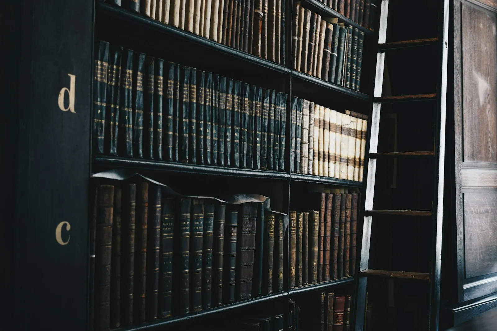 Dark wooden shelves of bound law volumes